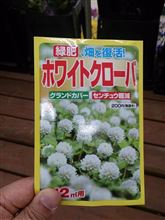 お墓に種を撒きましょう(ノ⌒∇)ノ*：・&#39;゜☆。.:*:・&#39;゜★゜&#39;・:*:.。.:*:・&#39;゜:*♪ 