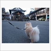 まるちゃんと行く山形県小野川 ...