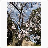 近場でお散歩・・・・・・