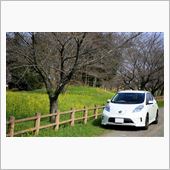 ちょっと早かった