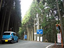 うろちょろ散歩