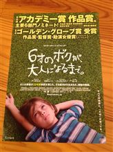 6才のボクが、大人になるまで。