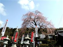 なんか、いろいろ