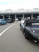 今日の一日・・・・