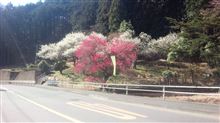 旅立ち