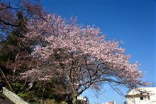 予定の段取りは完璧のハズだったのに・・・