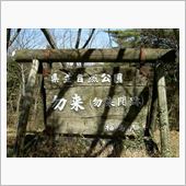 陽気にさそわれて。