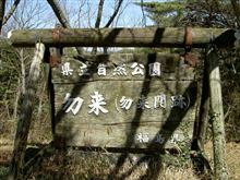陽気にさそわれて。
