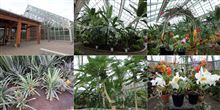 碓氷川熱帯植物園