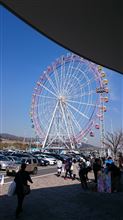 いざ徳島へ❗