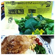 ★三芳町★ 竹間沢の菜の花2015