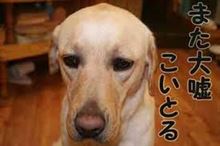 これで好きなだけずっと休める様に成ったな笑