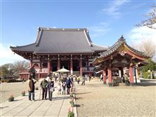 無常な日常(梅の花でランチ＆池上本門寺の桜)