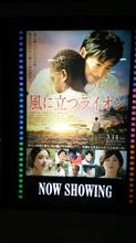 映画『風に立つライオン』