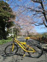 天気が良いので・・・①