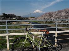 桜を求めて、ポタリング 