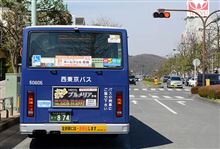 ぱさぱさ