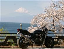 サクラを探して西伊豆ツーリング。。♪ サクラを探して西伊豆ツーリング。。♪
