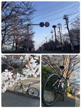 日本の技術力