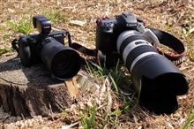 EOS M3で飛行機が撮れるのか EOS M3で飛行機が撮れるのか