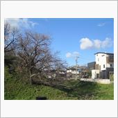 黒野城址　～関ヶ原合戦に関わ ...