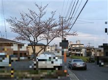 雨が降る前に、ひとっ走り、と