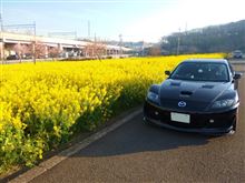 水温対策と春本番