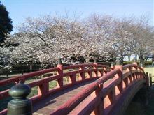 五十路過ぎても♪(*&#180;∀`*)【結局】