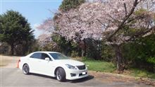 モデアス君とプチお花見～♪♪