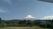 初めて子供と旅行した(｡･･｡)