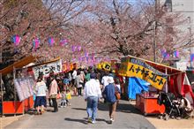 ここ最近の出来事と花見