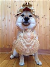 上越カニオフ！！！