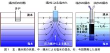 なるほど、そうだ。