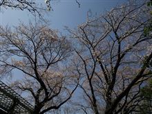 トンネルを抜けると、そこは…