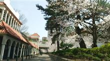 桜満開～ 宝塚編