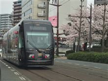 いい写真撮れた いい写真撮れた
