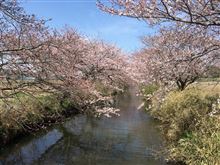 春を感じて そして発見! 春を感じて そして発見!