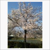 3月３１日・・・・・