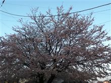 3月を振り返ると・・・
