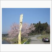 ロードスター　～桜の史跡巡り ...
