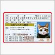 タッチしてポンッ！