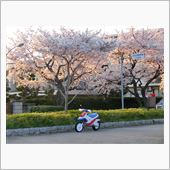 NO.947　新年度は愉快な ...