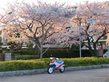 NO.947　新年度は愉快な気分で！　EZ-9&#215;桜