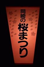 連日の夜桜見物