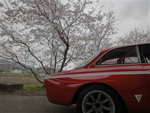 SAKURA