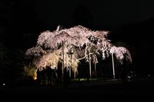 雨の前に・・・