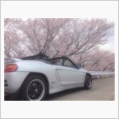 さくら〜