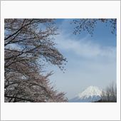 富士山のある春の風景