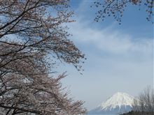 富士山のある春の風景