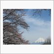 富士山のある春の風景